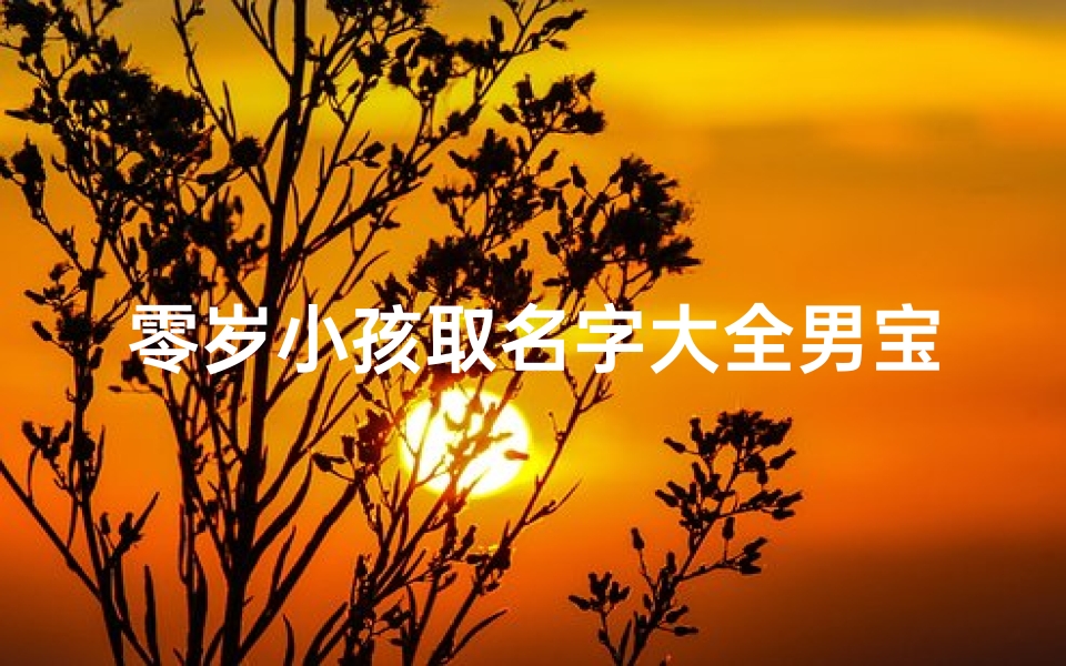 零岁小孩取名字大全男宝宝_《精选零岁宝宝男宝名字大全,寓意美好》