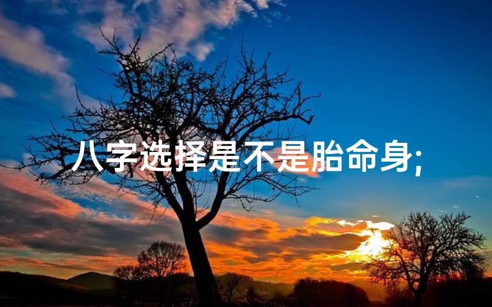 八字选择是不是胎命身;八字胎是什么