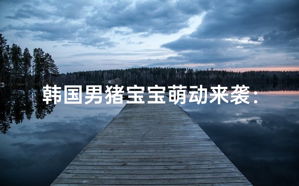 韩国男猪宝宝萌动来袭:萌宝取名大作战