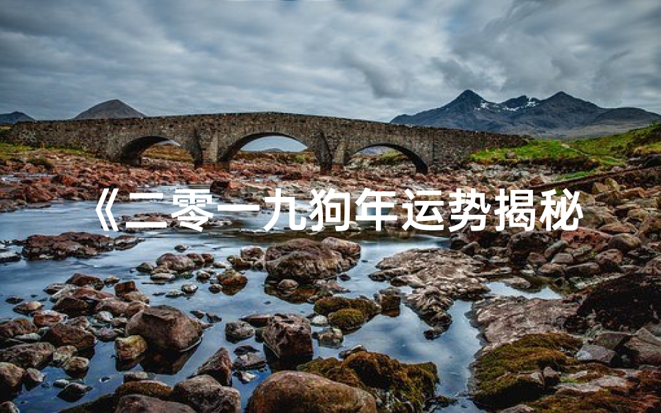 《二零一九狗年运势揭秘:旺运指南大公开》