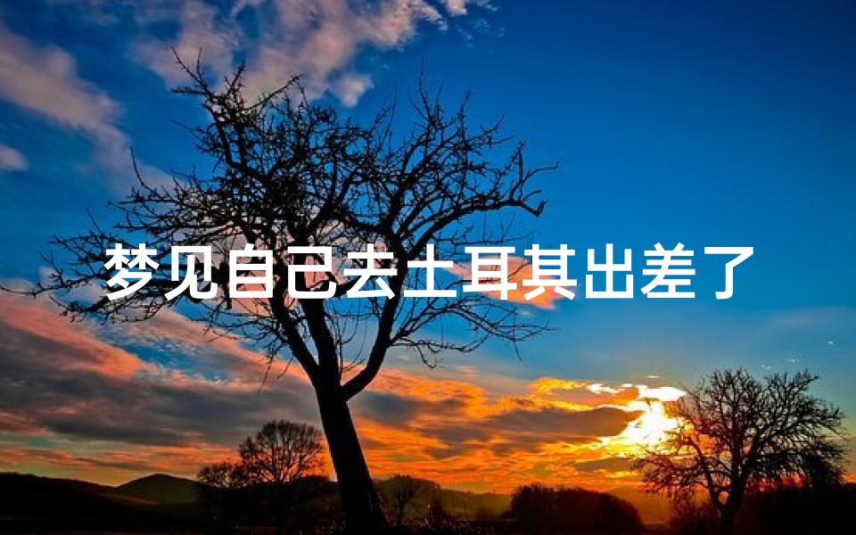 梦见自己去土耳其出差了_梦到自己出国出差