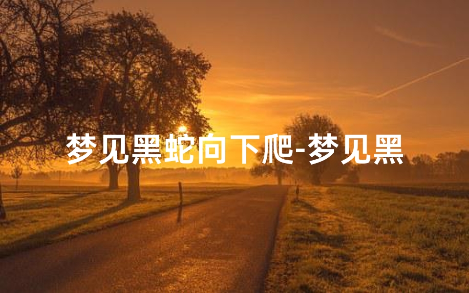 梦见黑蛇向下爬-梦见黑蛇爬向自己