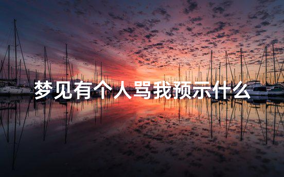 梦见有个人骂我预示什么_梦见有人骂人好不好