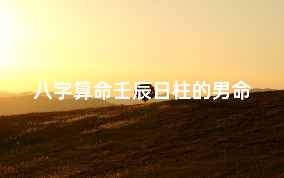 八字算命壬辰日柱的男命_壬辰曰柱男命