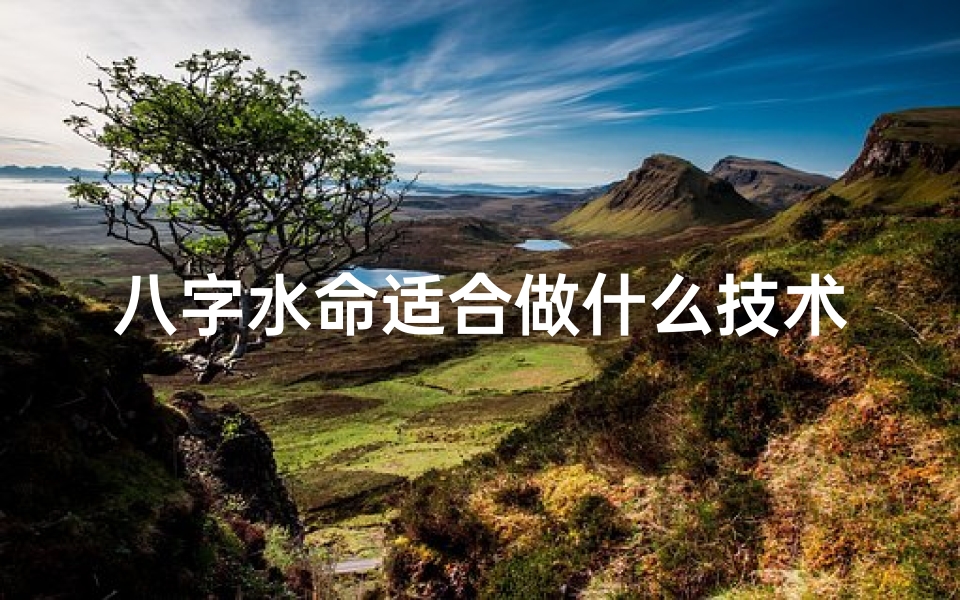 八字水命适合做什么技术工(八字水命宜从事哪些技术工作?)