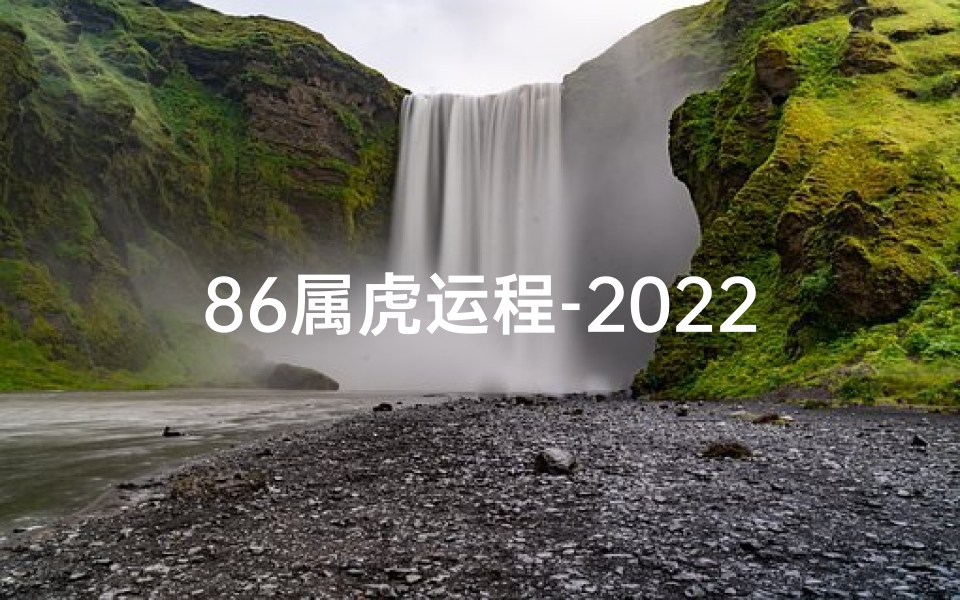 86属虎运程-2022生肖虎运势揭秘:财运亨通,事业腾飞