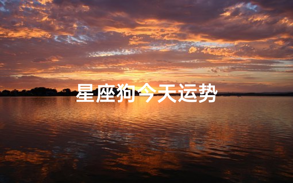 星座狗今天运势