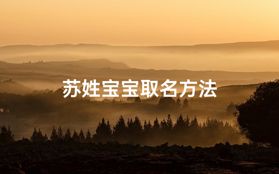 苏姓宝宝取名方法