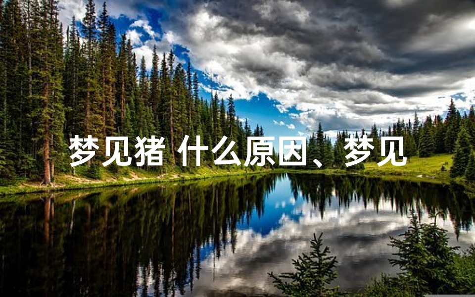 梦见猪 什么原因、梦见猪是什么回事