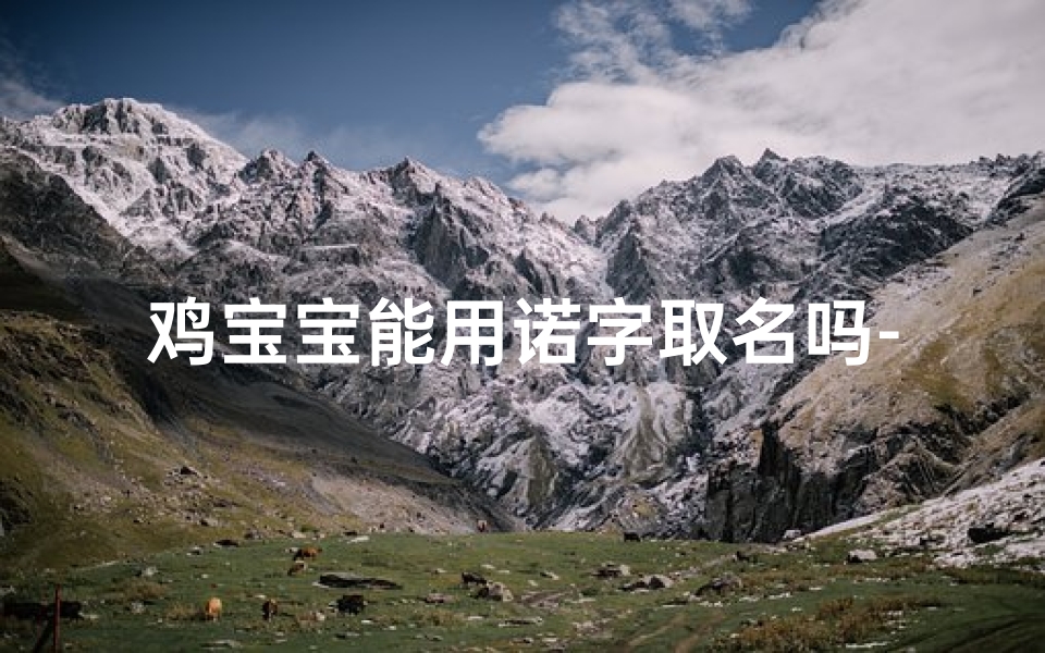 鸡宝宝能用诺字取名吗-《鸡宝宝取名新潮流:诺字当道,寓意美好》