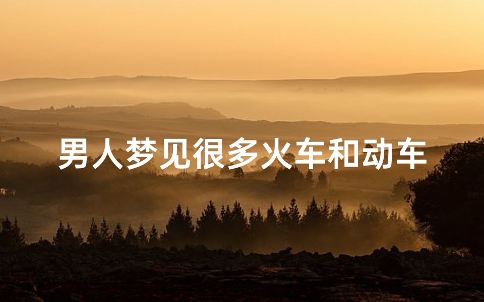 男人梦见很多火车和动车—梦见看见很多火车