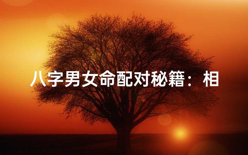 八字男女命配对秘籍:相知相守的八字奥秘