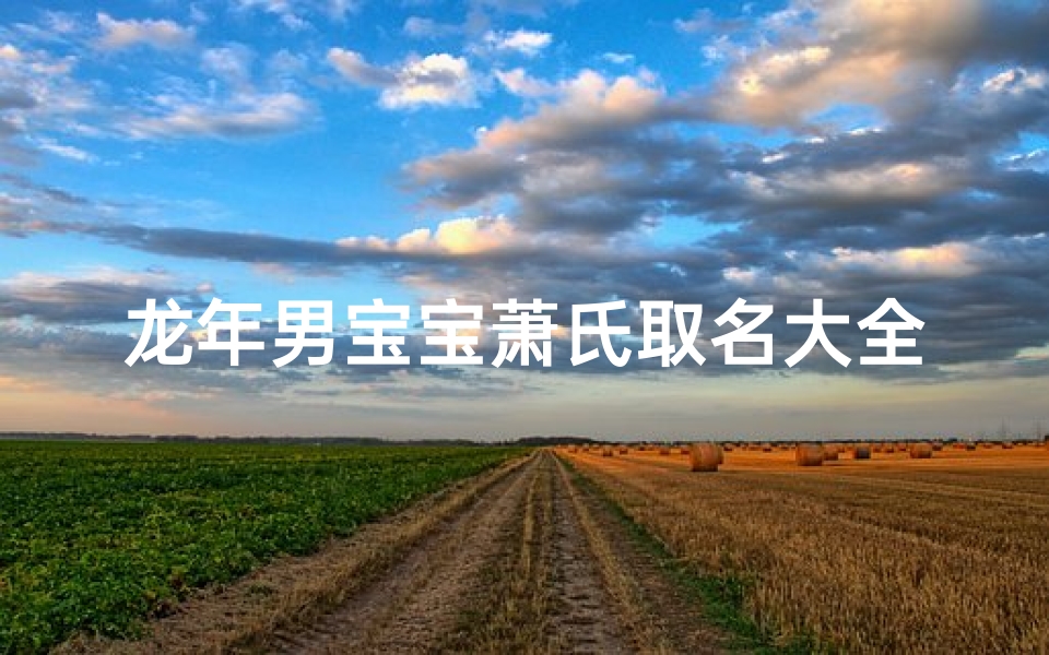龙年男宝宝萧氏取名大全,《龙腾盛世,萧氏男宝宝取名大全精选》