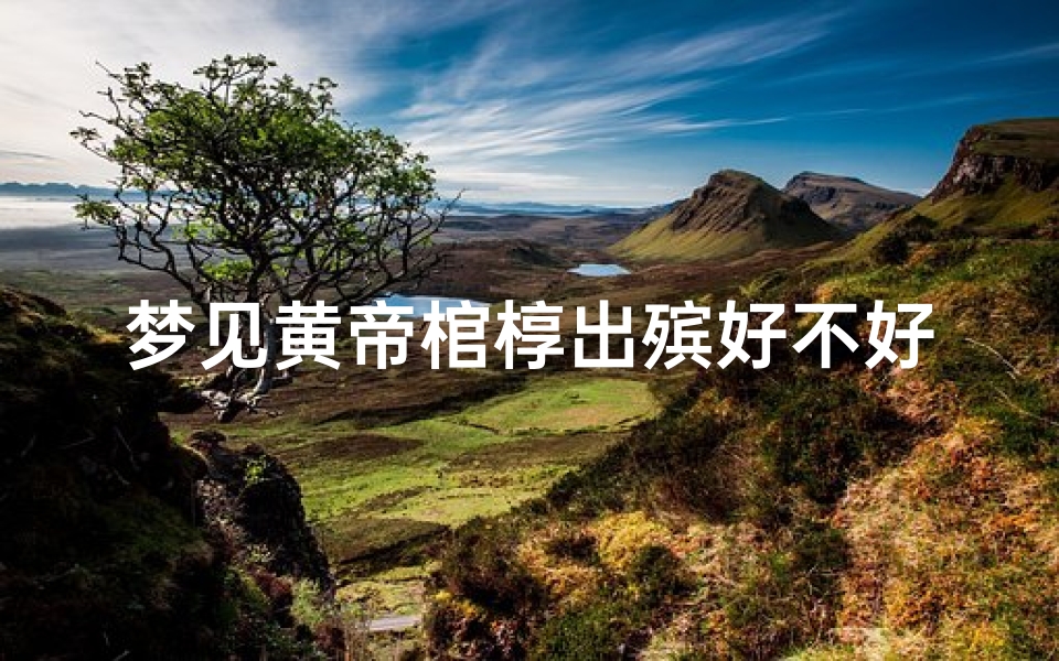 梦见黄帝棺椁出殡好不好-梦到帝王棺材