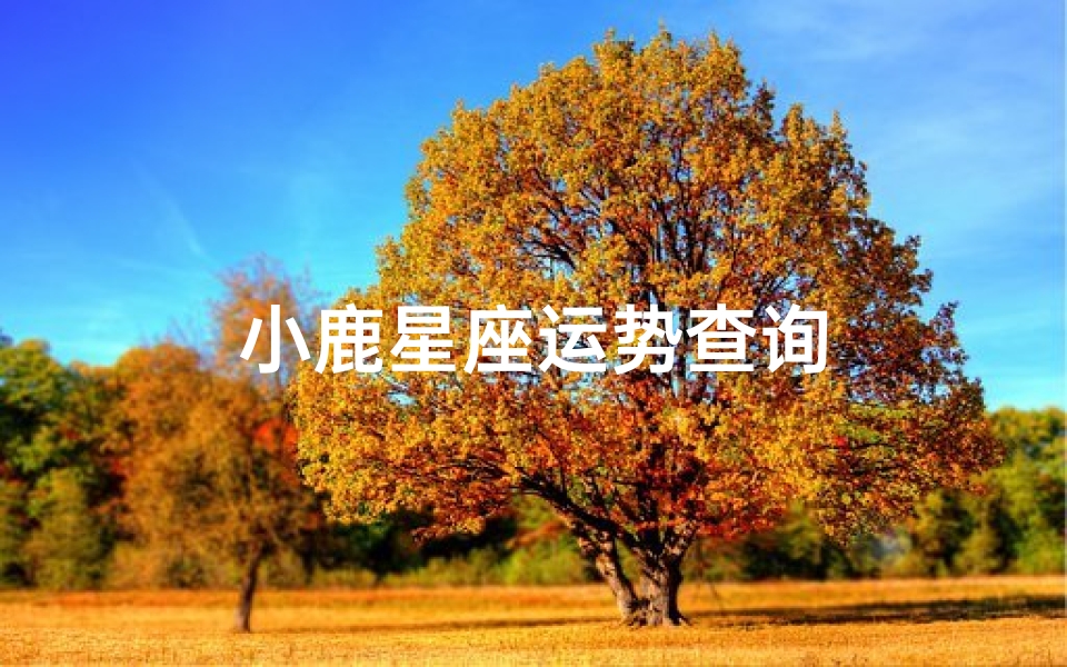 小鹿星座运势查询