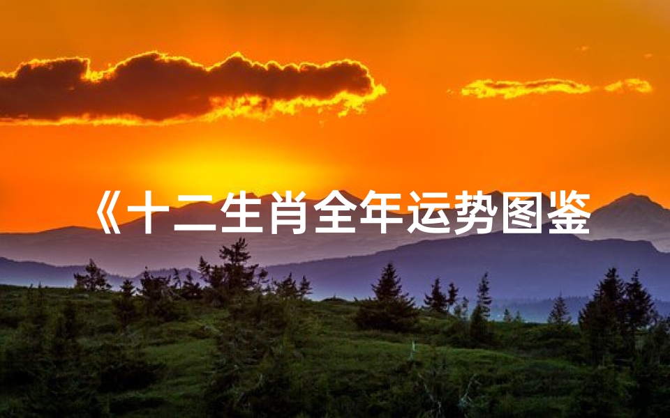 《十二生肖全年运势图鉴:生肖运势全景解析》