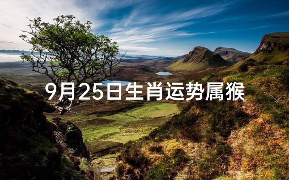 9月25日生肖运势属猴(9月25日属猴运势:猴年猴月,运势大爆发)