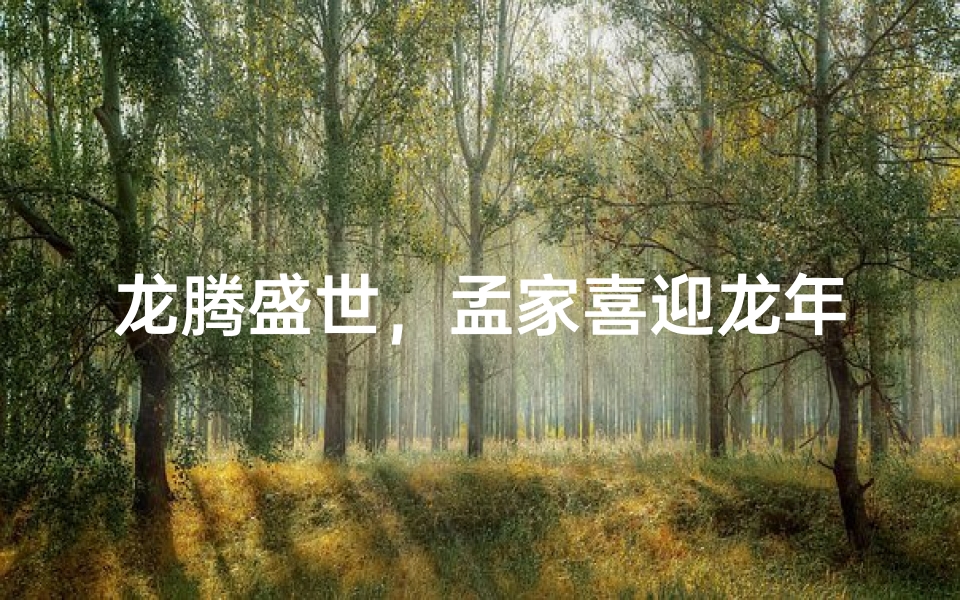 龙腾盛世,孟家喜迎龙年宝宝降生