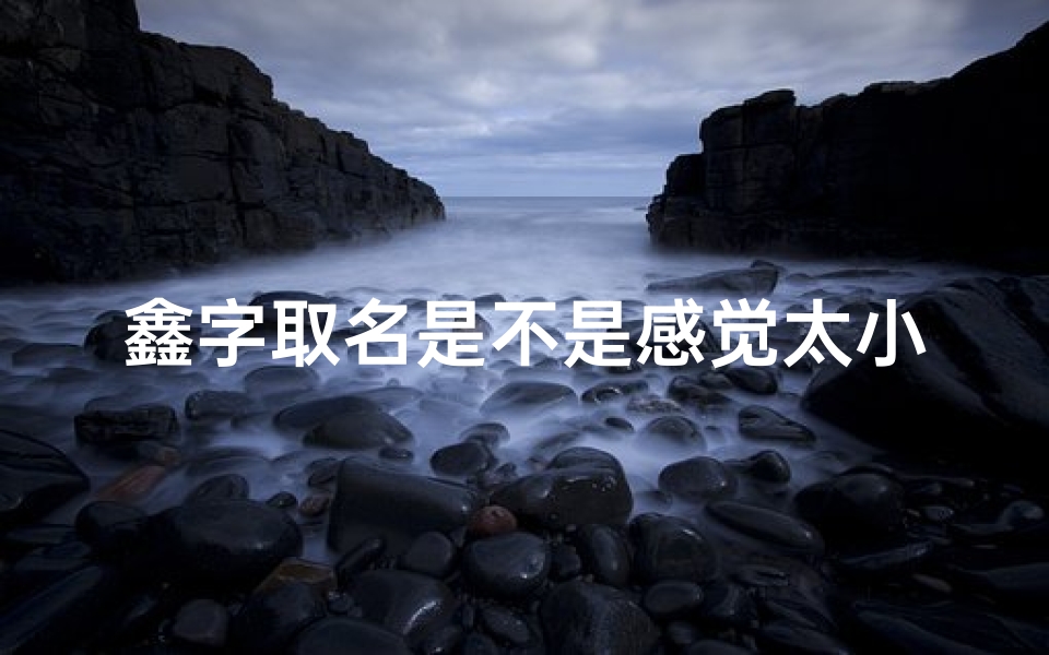 鑫字取名是不是感觉太小孩了、鑫字的名称是什么