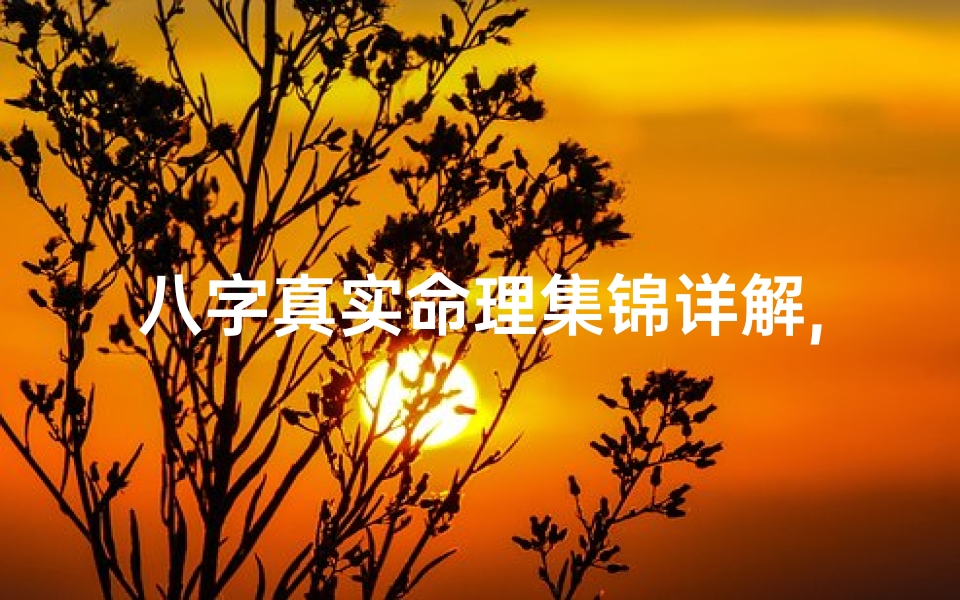 八字真实命理集锦详解,《八字真谛集锦:详尽解析命运奥秘》