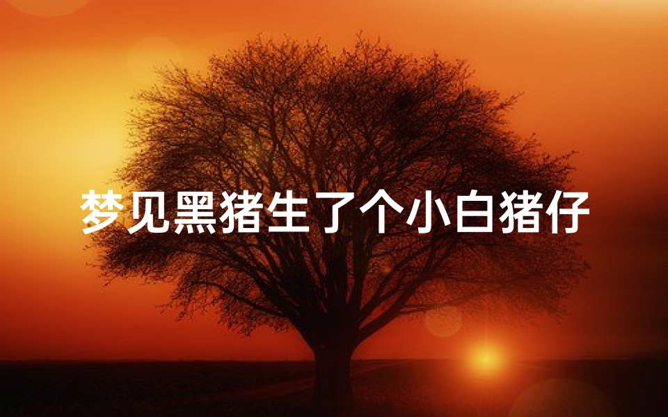 梦见黑猪生了个小白猪仔,做梦猪生了好多小黑猪