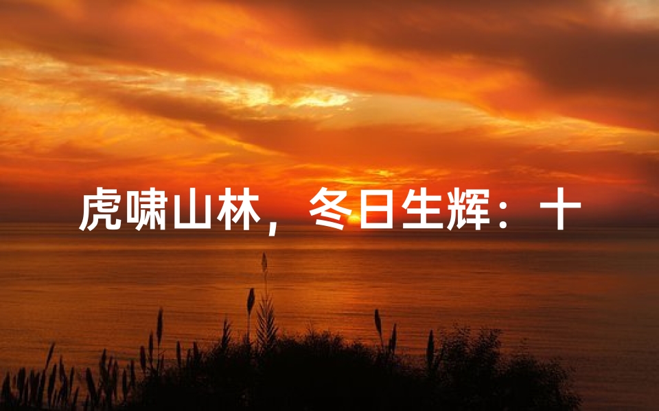 虎啸山林，冬日生辉：十二月四日虎宝宝取名大全精选