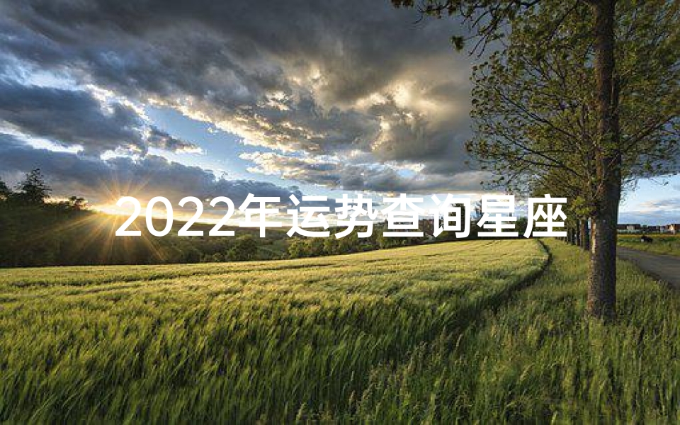 2022年运势查询星座