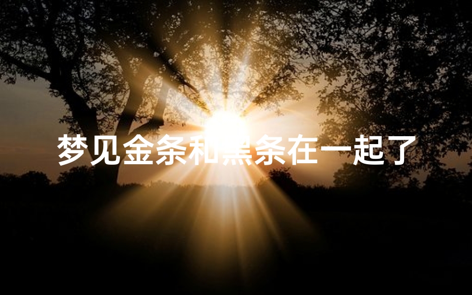 梦见金条和黑条在一起了(梦见金条和黑条在一起了好不好)