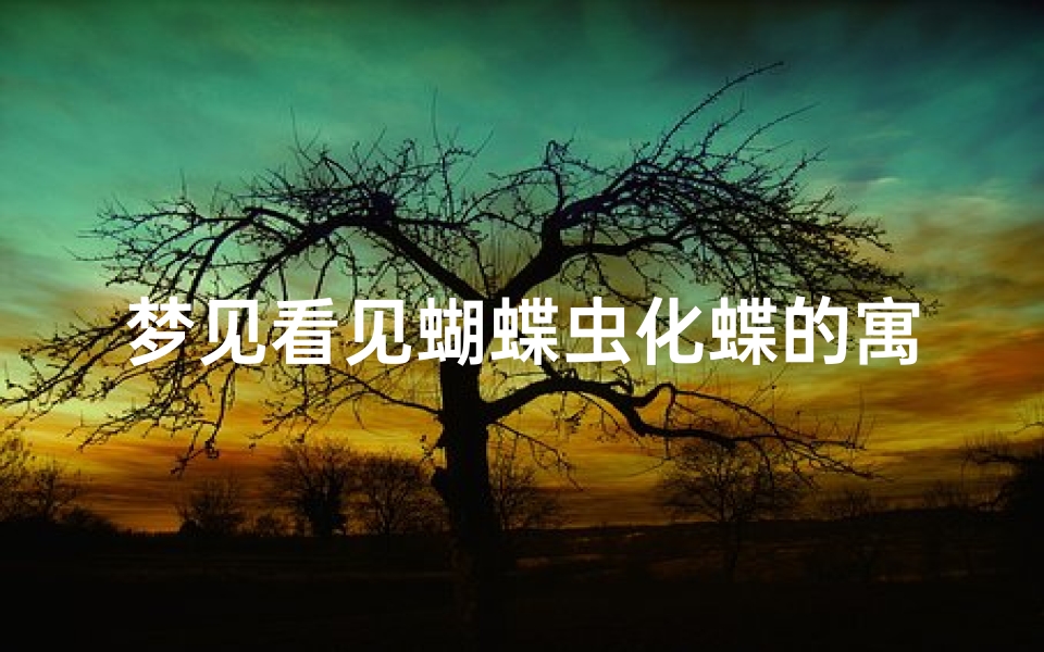 梦见看见蝴蝶虫化蝶的寓意、梦见看见蝴蝶虫化蝶的寓意和象征
