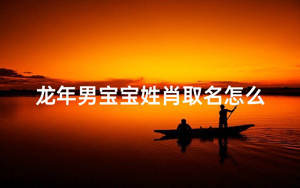 龙年男宝宝姓肖取名怎么取—属龙男宝宝起名字大全