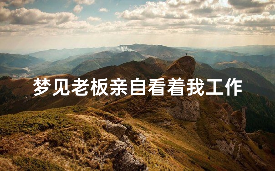 梦见老板亲自看着我工作,梦到老板视察工作