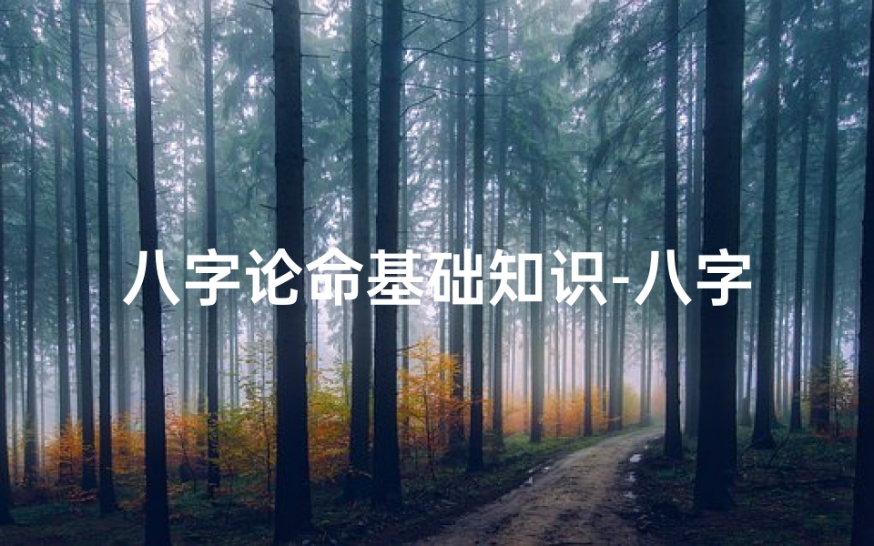 八字论命基础知识-八字论命软件下载