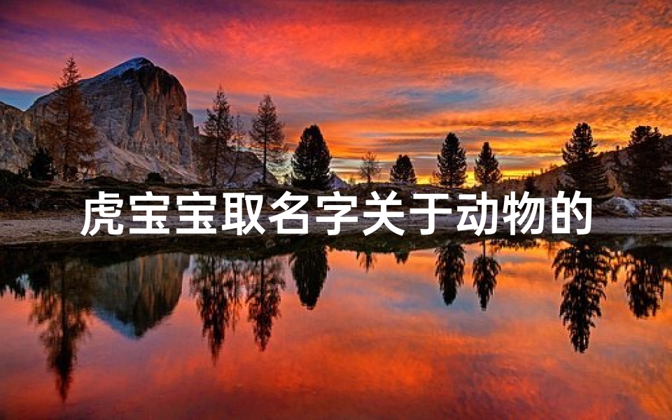 虎宝宝取名字关于动物的名字