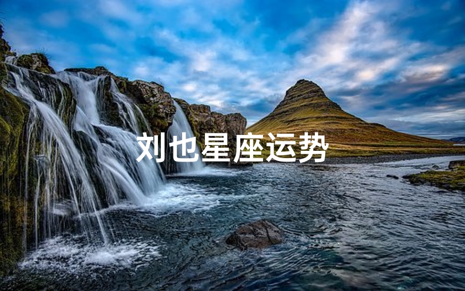 刘也星座运势