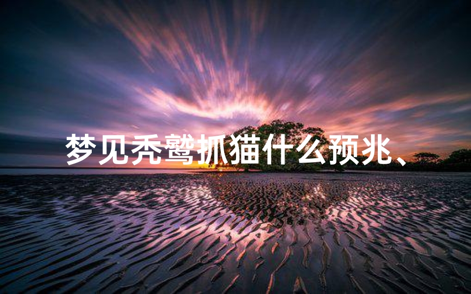 梦见秃鹫抓猫什么预兆、梦见秃鹫叫声什么意思