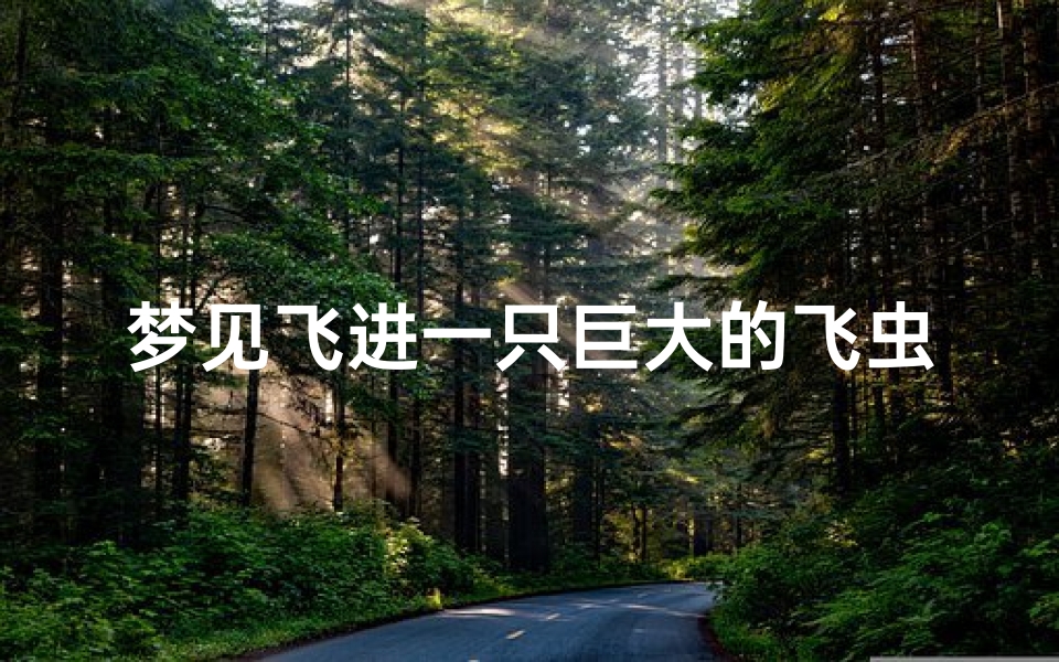 梦见飞进一只巨大的飞虫-梦见巨型飞虫