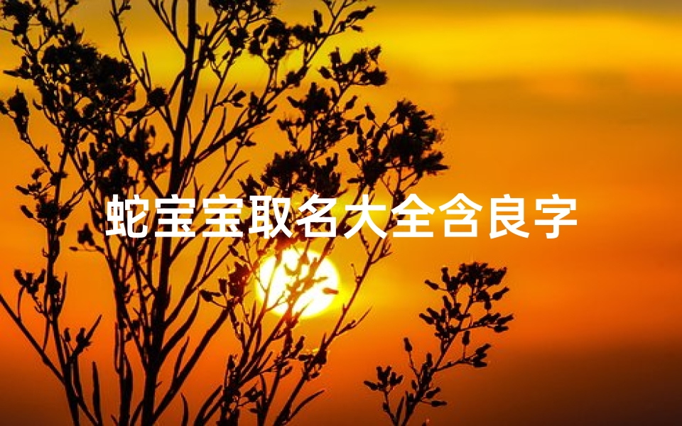 蛇宝宝取名大全含良字