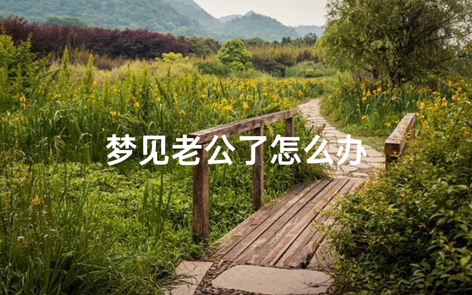 梦见老公了怎么办