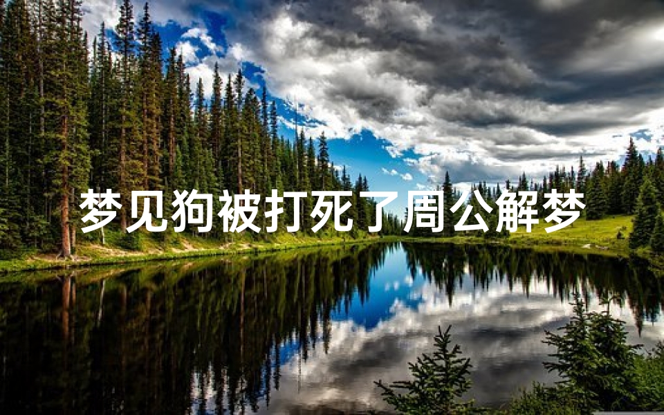 梦见狗被打死了周公解梦—梦见狗被自己打死