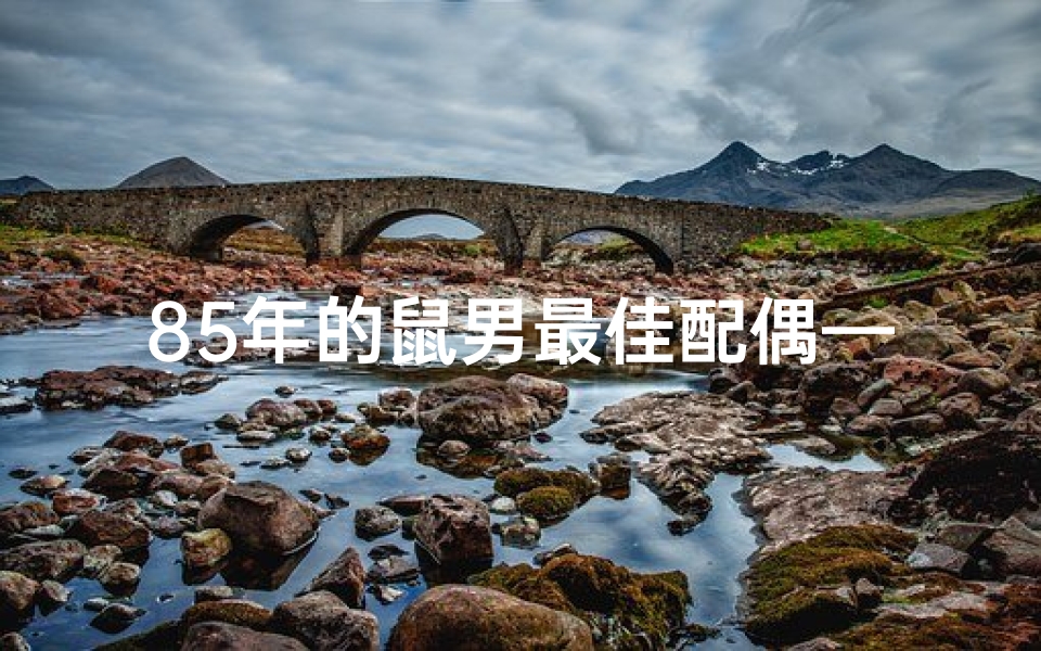 85年的鼠男最佳配偶—《1985年属鼠男性婚姻运势揭秘:幸福美满之道》