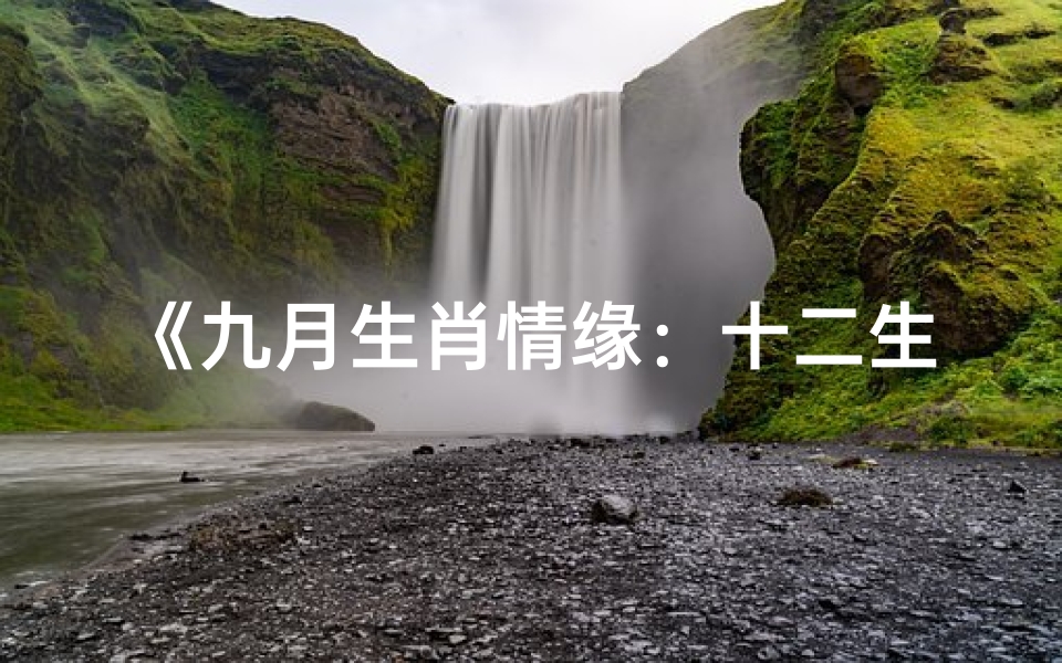 《九月生肖情缘:十二生肖运势揭秘》