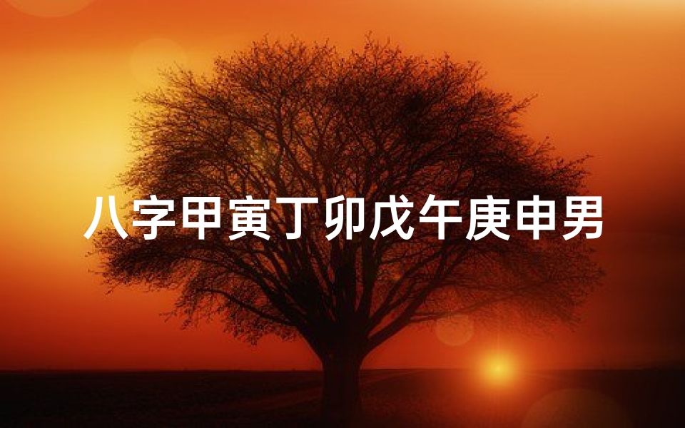 八字甲寅丁卯戊午庚申男命、《甲寅丁卯戊午庚申男命:八字解析与人生启示》