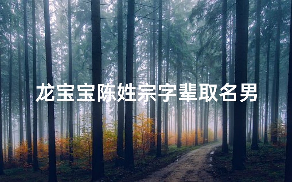 龙宝宝陈姓宗字辈取名男孩、姓陈宗子辈男孩取什么名字