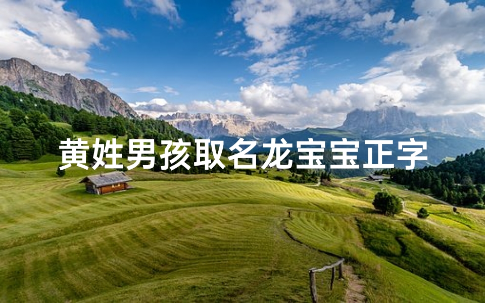 黄姓男孩取名龙宝宝正字_姓黄的男孩名字属龙起名