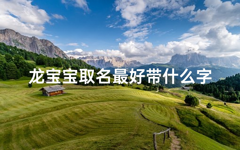 龙宝宝取名最好带什么字好