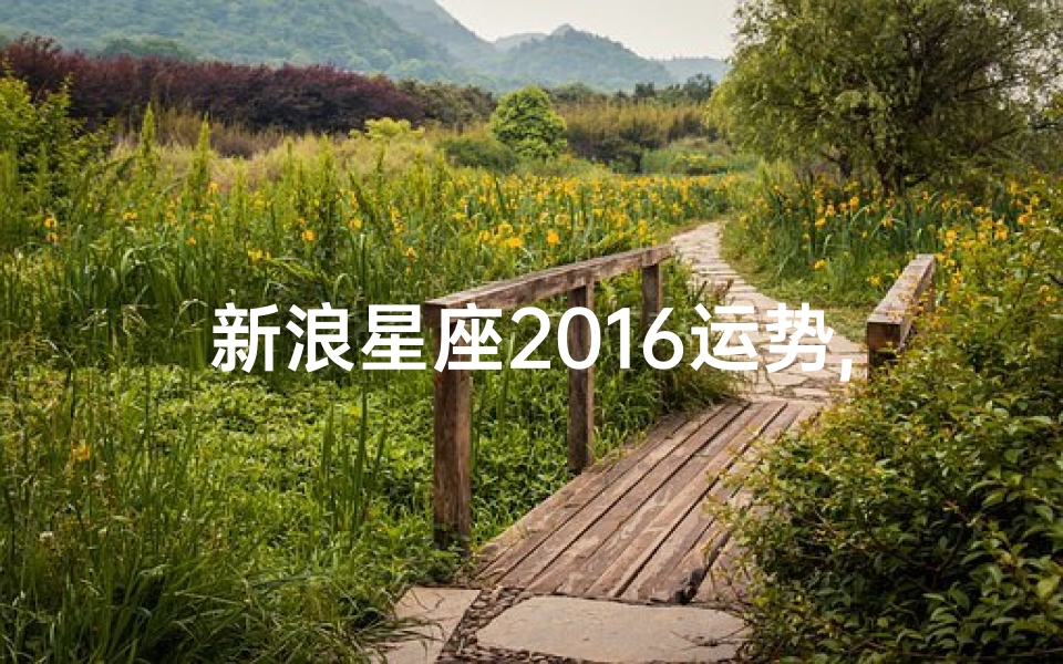 新浪星座2016运势,2016新浪星座运势揭秘:运势高峰与低谷一览