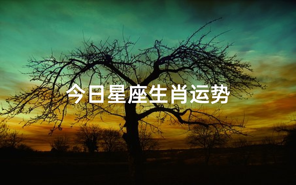 今日星座生肖运势