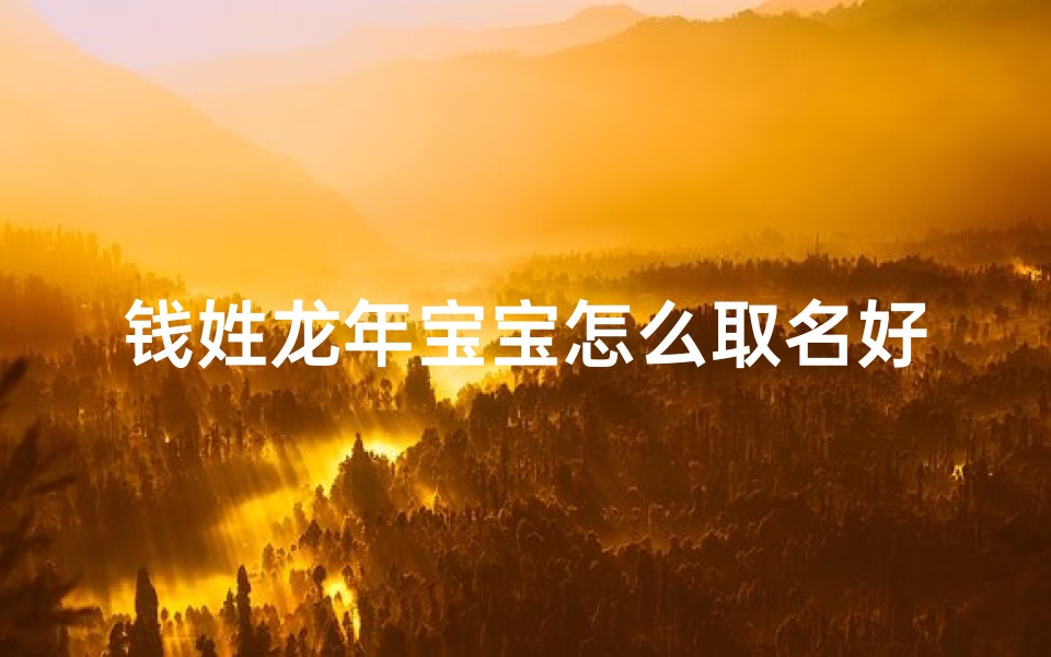 钱姓龙年宝宝怎么取名好听-姓钱的宝宝