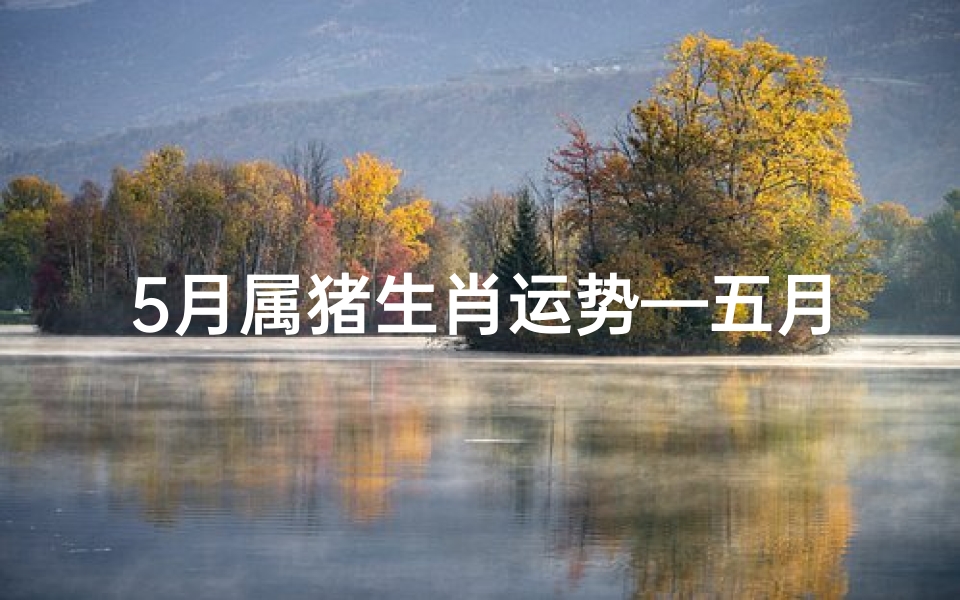 5月属猪生肖运势—五月生肖猪运势