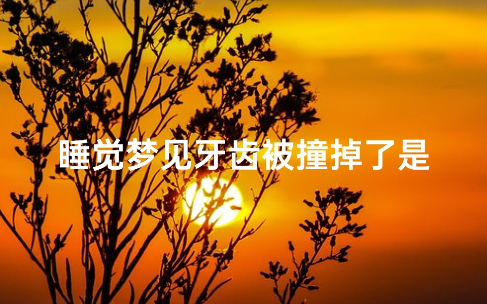 睡觉梦见牙齿被撞掉了是什么意思_做梦梦到牙齿撞掉了